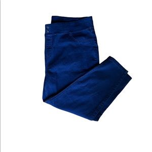 NWOT Blue Jean jeggings